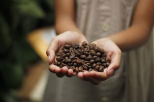 コーヒー豆の知識